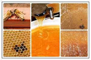 tips diet sehat dengan madu yang perlu anda ketahui